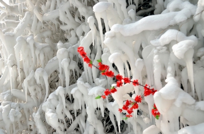 ���   ������