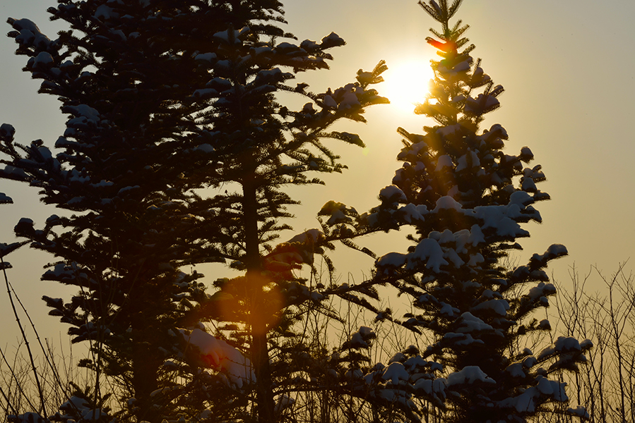 Ĩ��ȥ�Ĺ�֮Ӱ