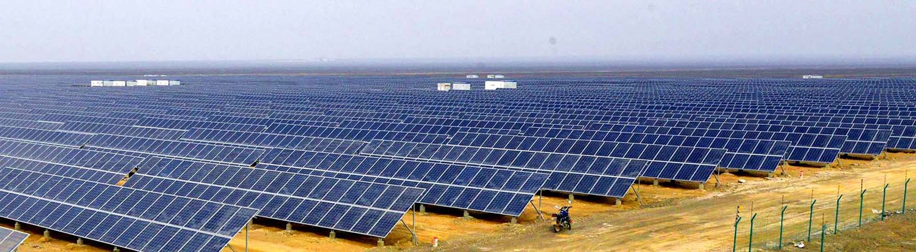 ����һƬ���� (1).jpg