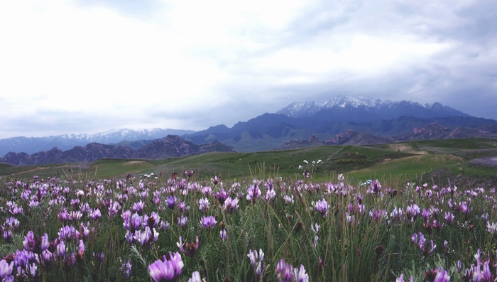 ����   ������