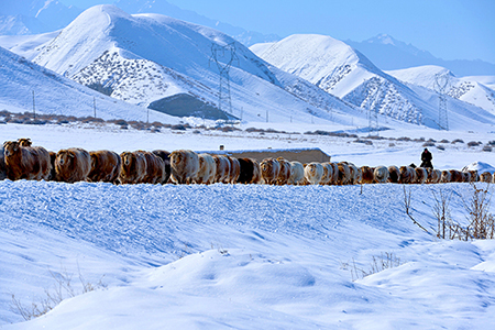 ����Զ��