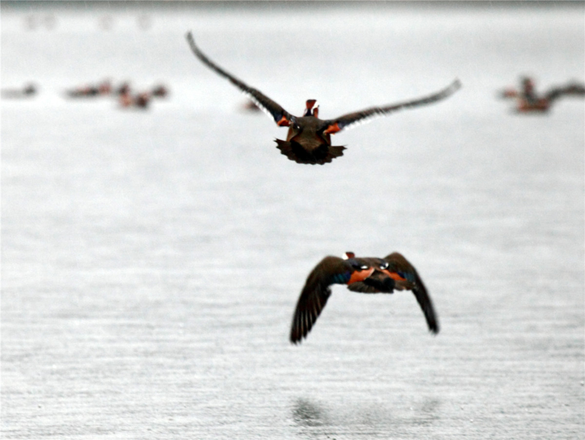 ���� (1).jpg