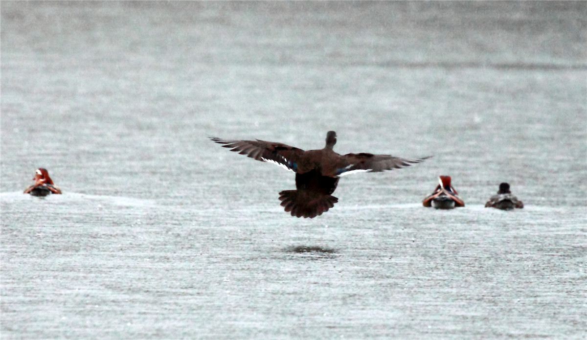 ���� (2).jpg