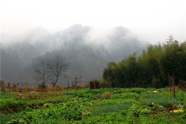 ���ϴ���1 (2).jpg