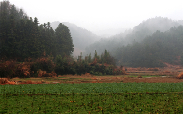 ���ϴ���1 (3).jpg