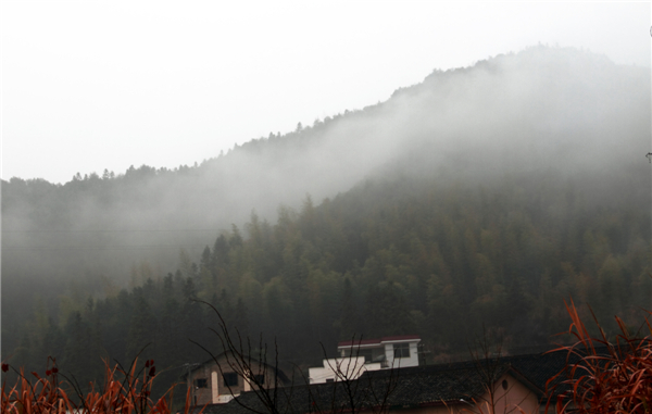 ���ϴ������� (1).jpg