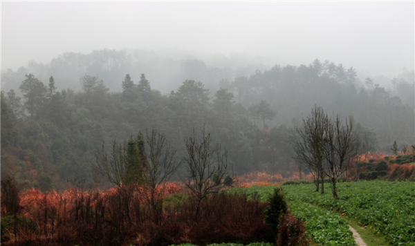 ���ϴ������� (2).jpg