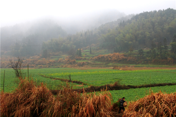 ���ϴ���1 (1).jpg