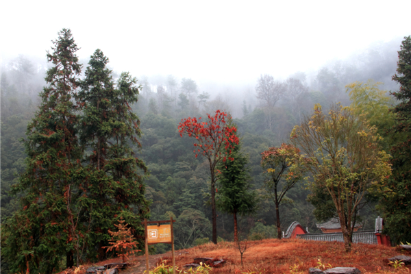 ���ϴ���ͮͮ (1).jpg