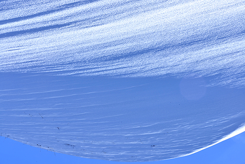 Ư��������е�ѩ��