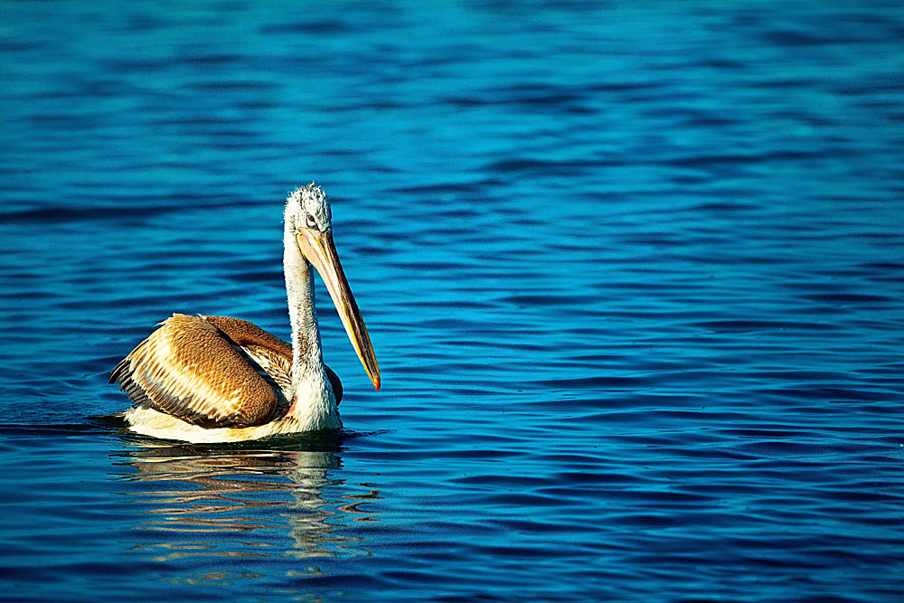 ���� _N8E1957.JPG