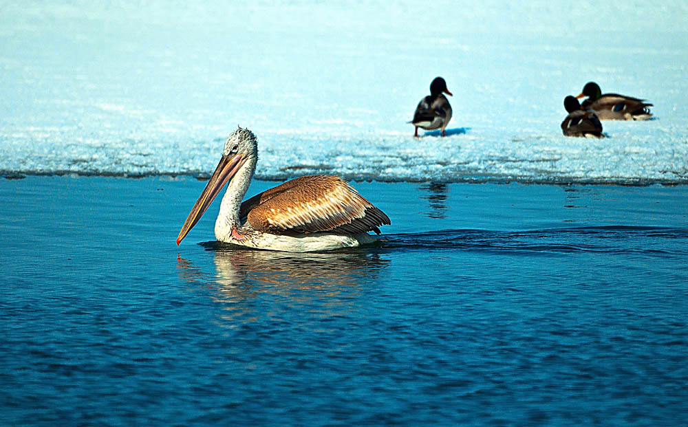 ���� _N8E1987.JPG