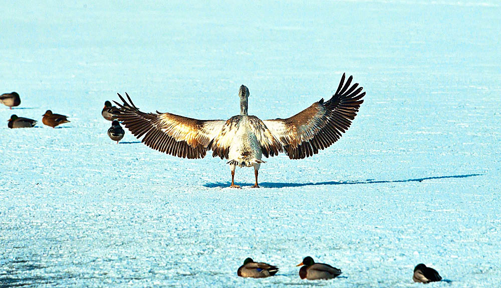 ���� _N8E2007.JPG