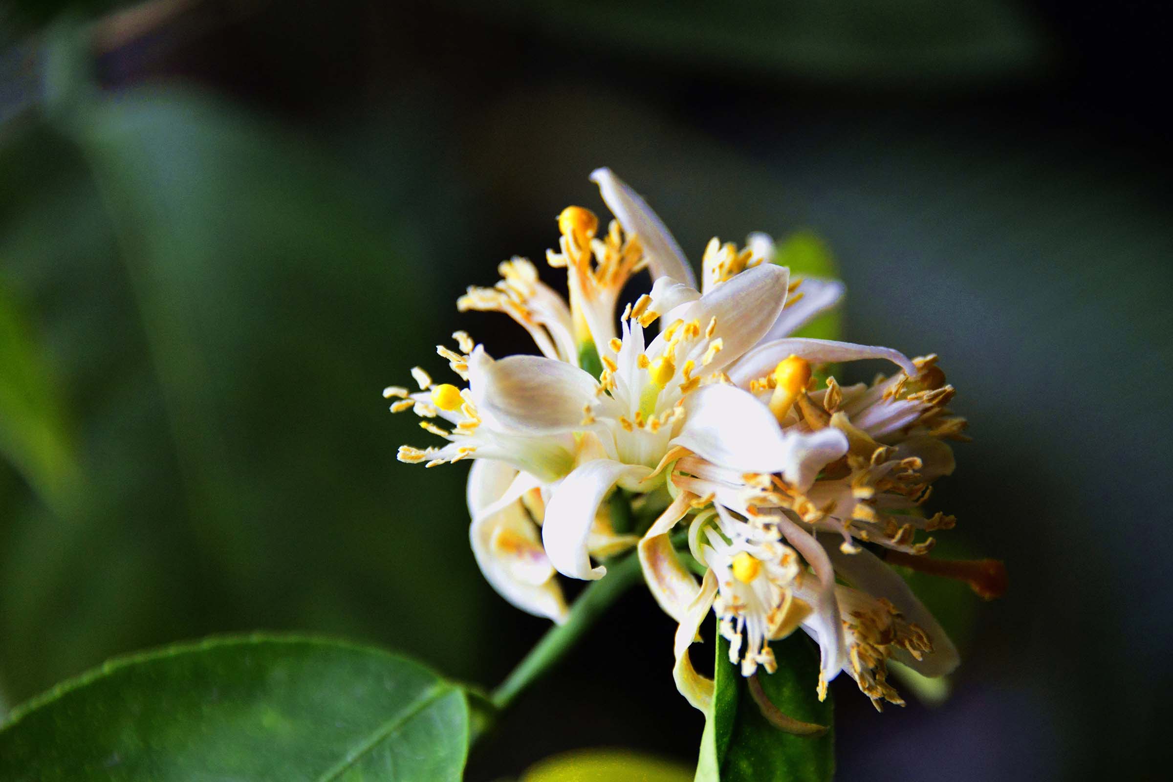 28300�Ծ�ͼƬ (1).jpg