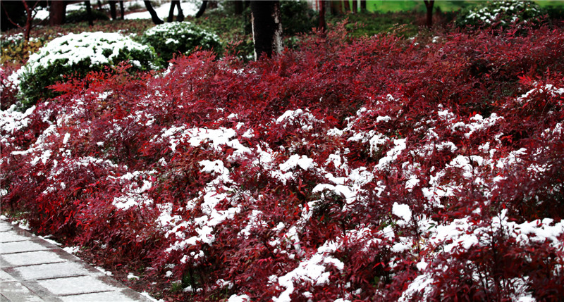 ���� (1).jpg