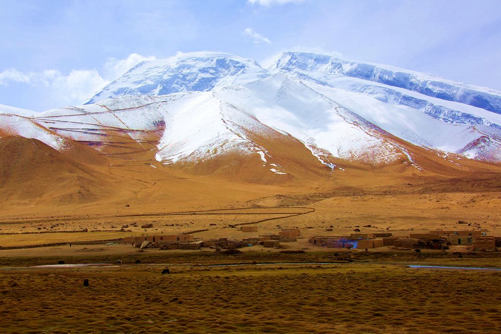 ��ľ����