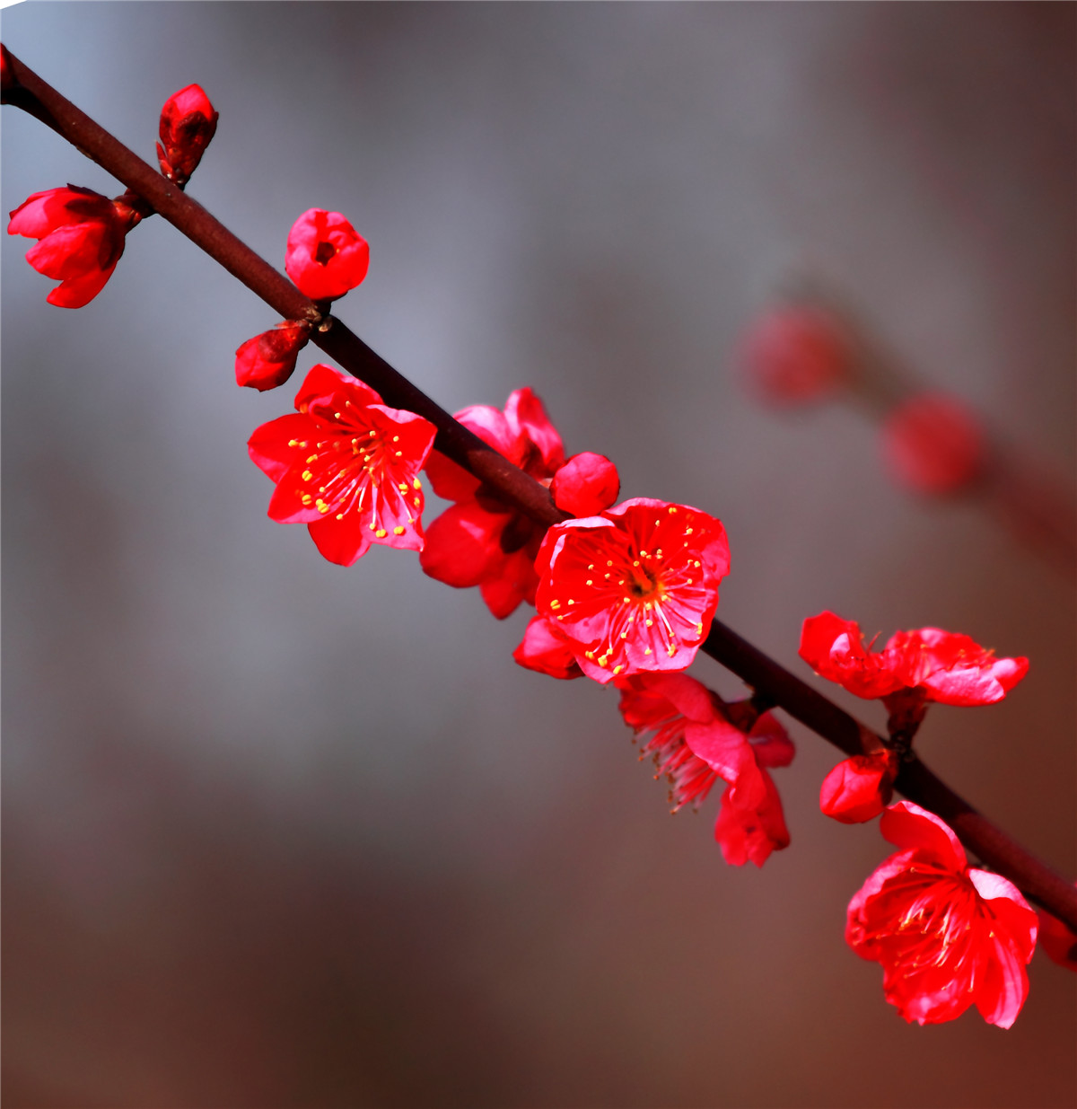 ÷���� (6).jpg