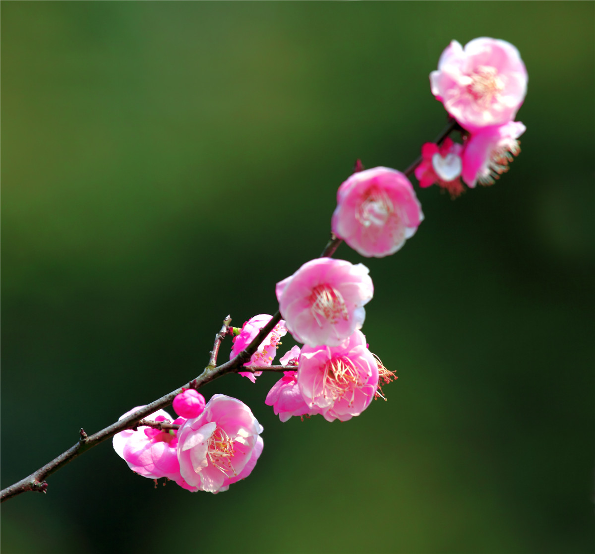 ÷���� (2).jpg