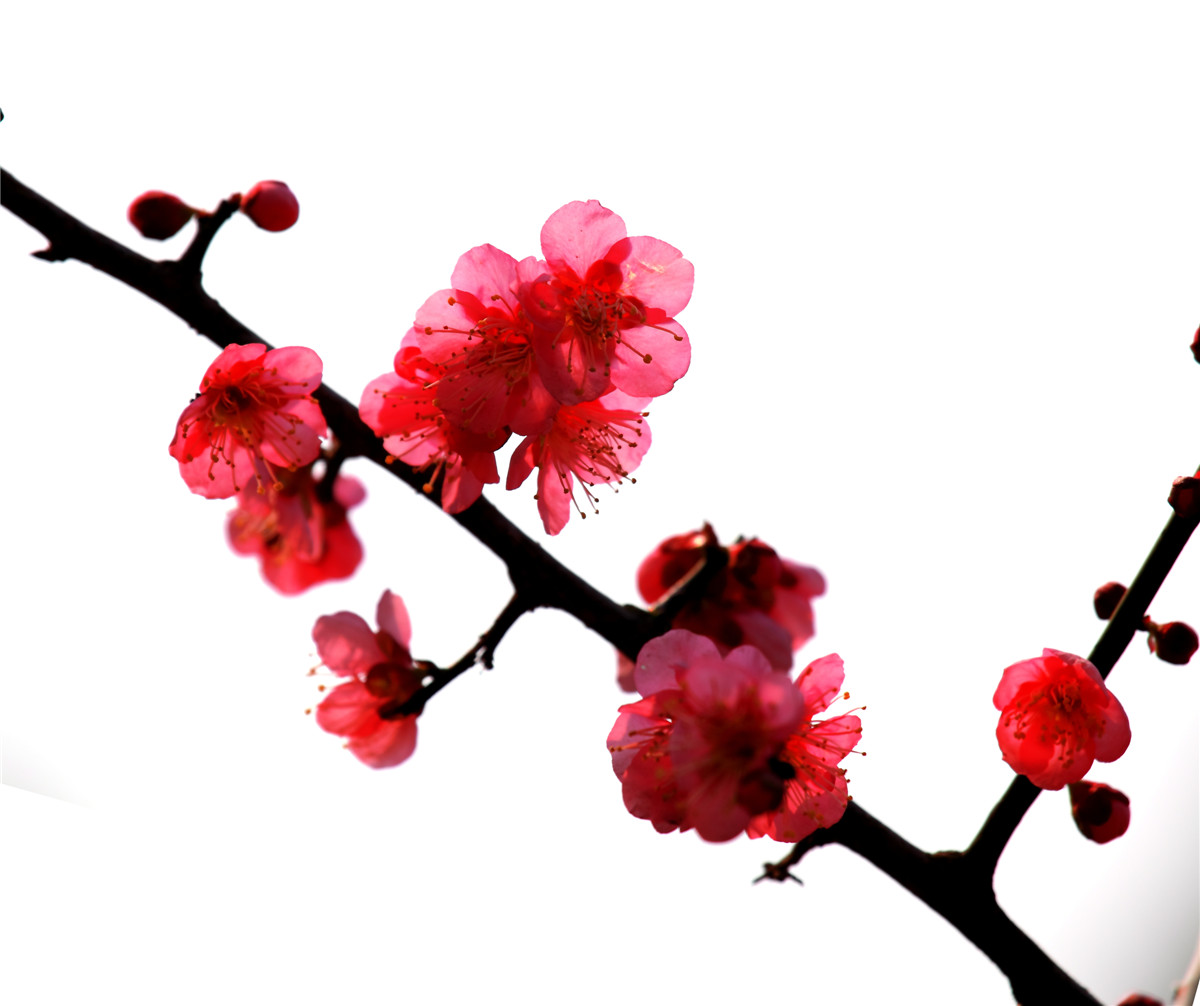 ÷���� (3).jpg