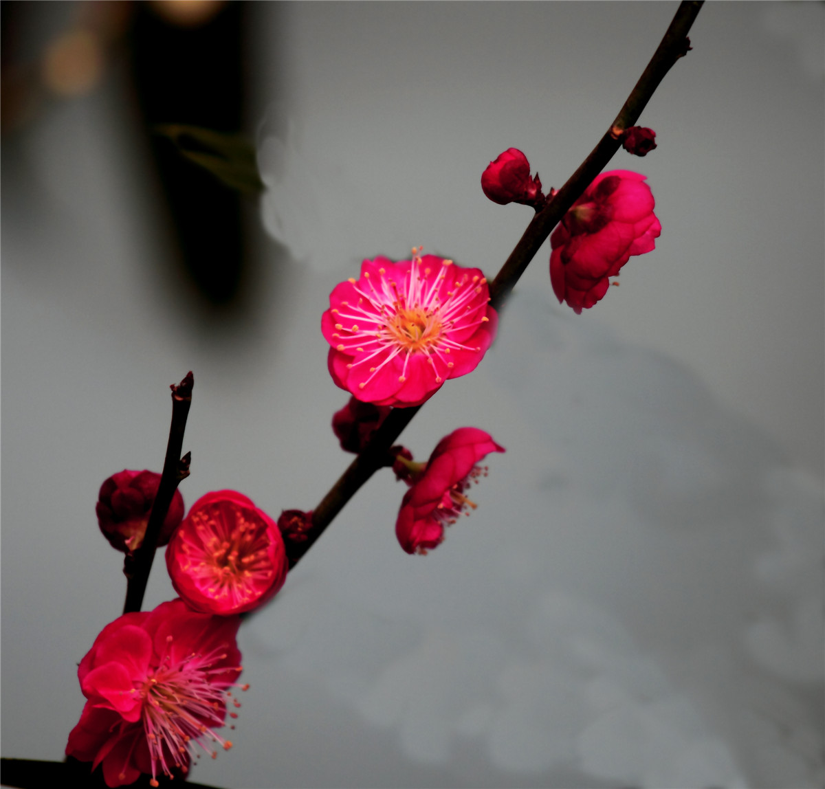 ÷���� (4).jpg