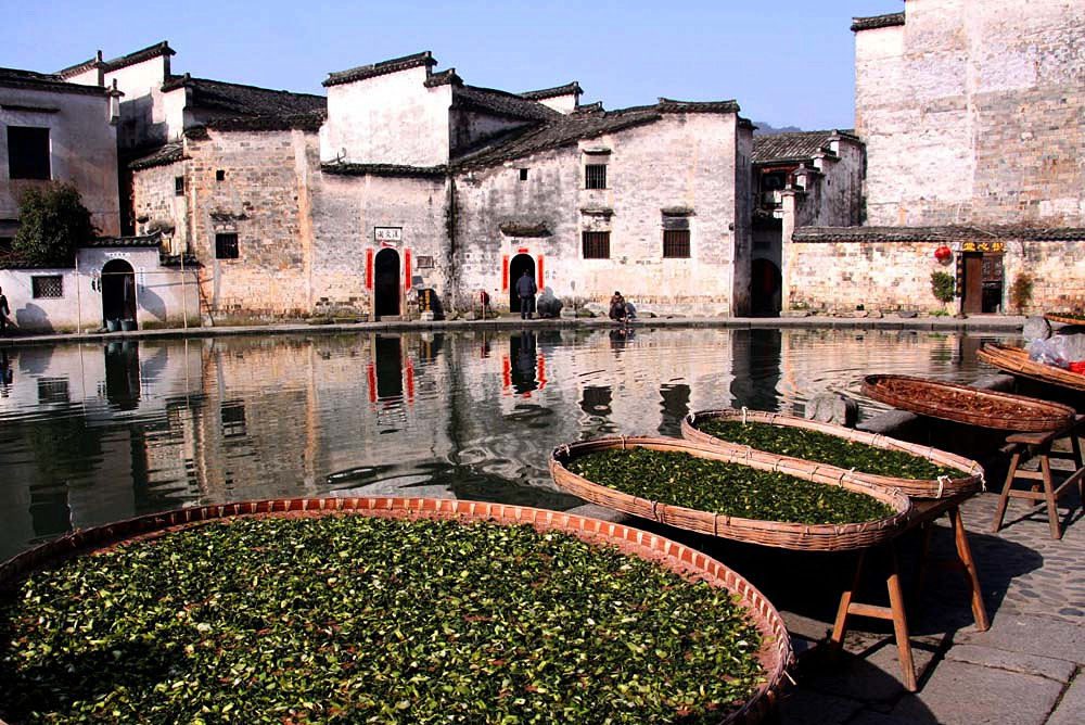 ��� 263_����.jpg