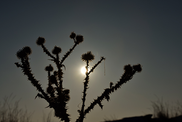 ��ԡ����ů���Ļ���