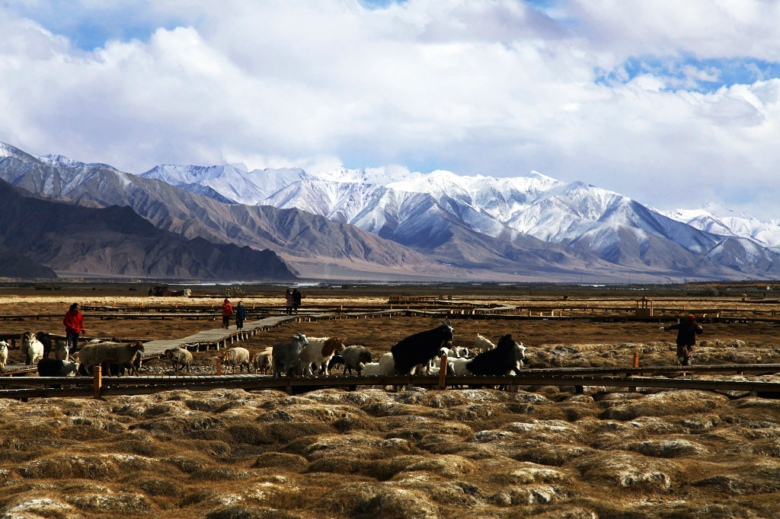 �ӹȺ�����