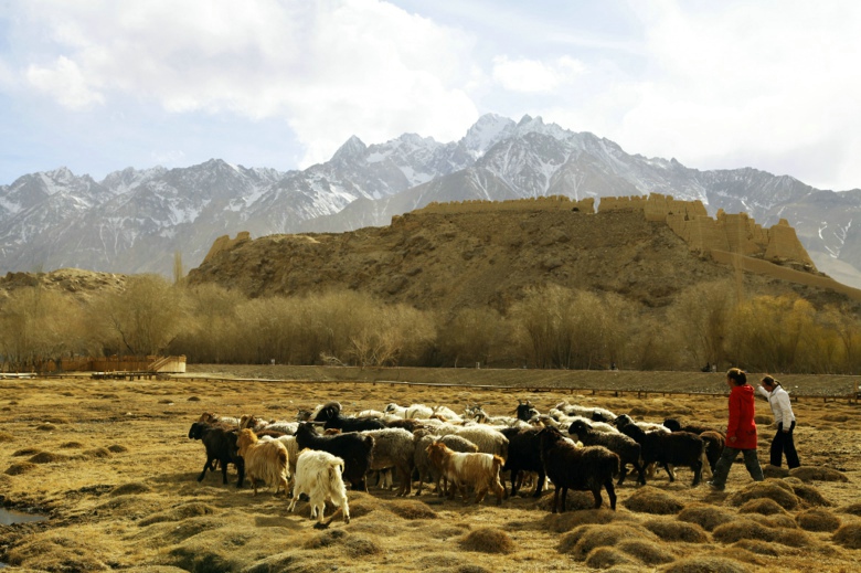 �ӹȺ�����