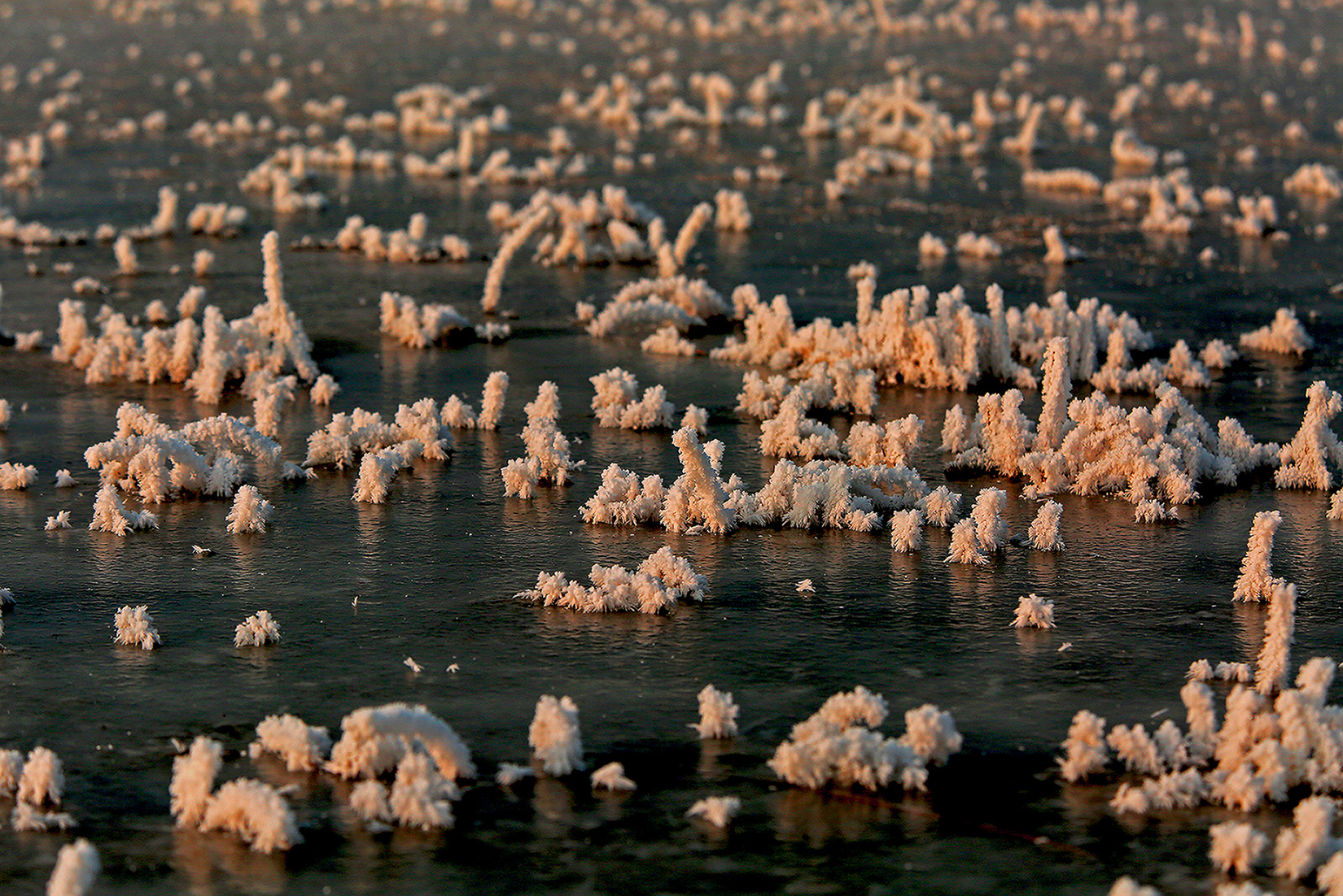  �����ϵ���ڡ