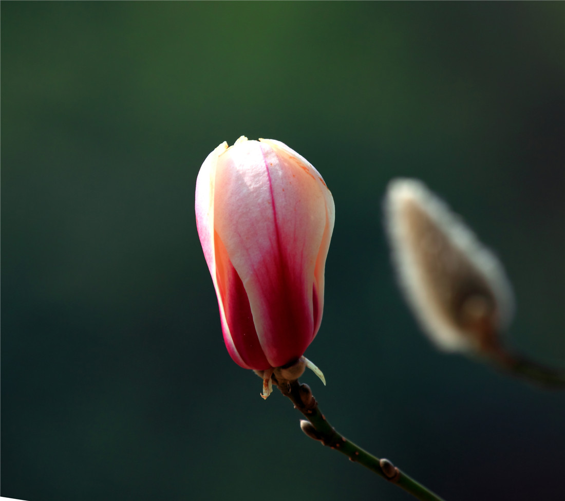 ������ (3).jpg