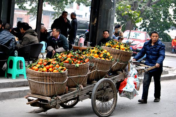 �����ӵ�С����