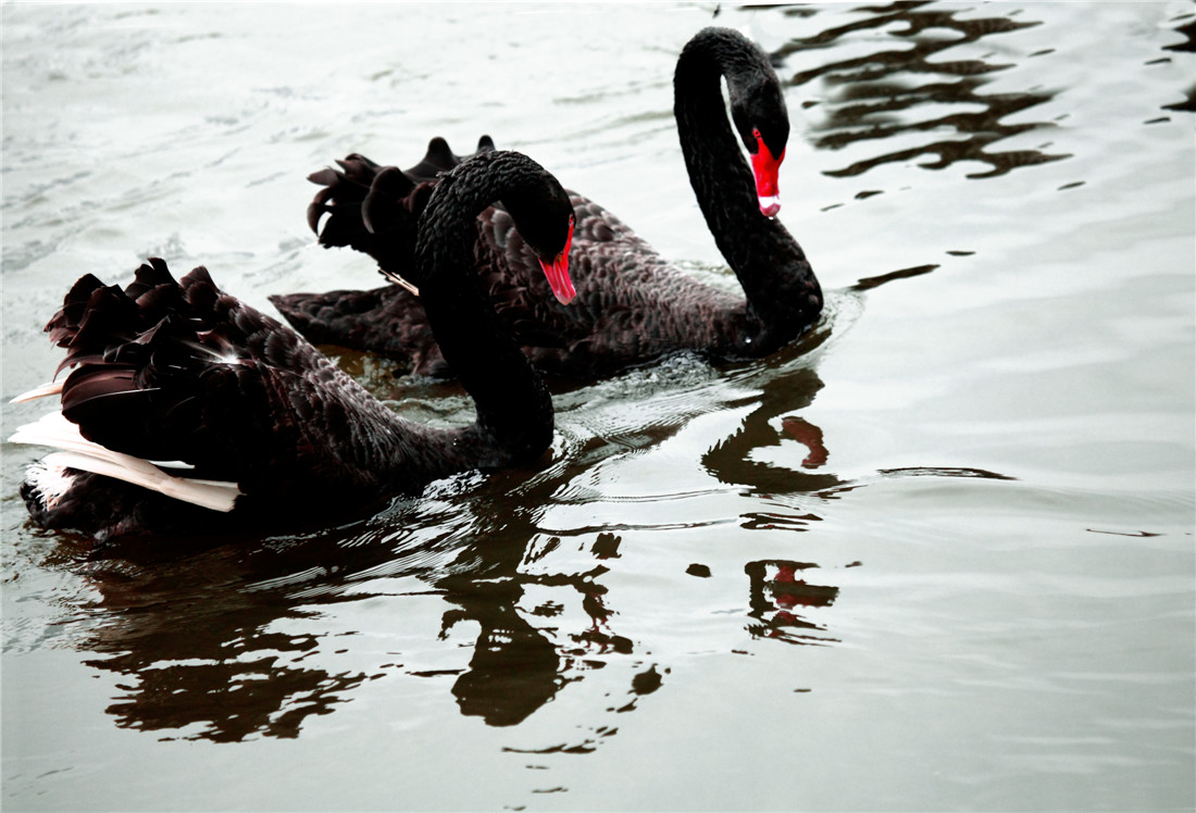 ̸��˵�� (2).jpg