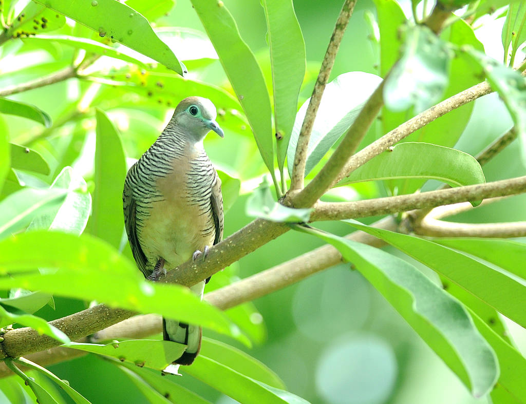 4���ϼ���� 3.jpg