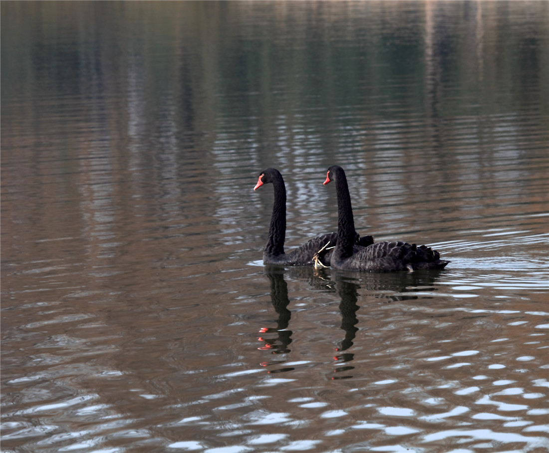 ̸��˵�� (3).jpg