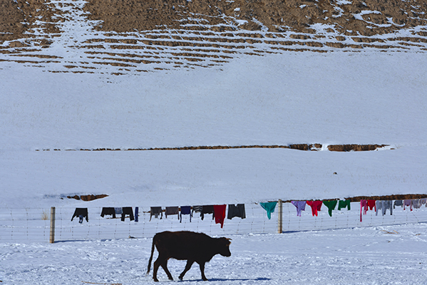 �������˵�ɹ�³�