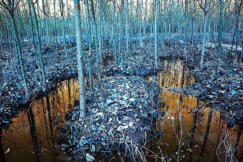 ���� IMG_6839.JPG