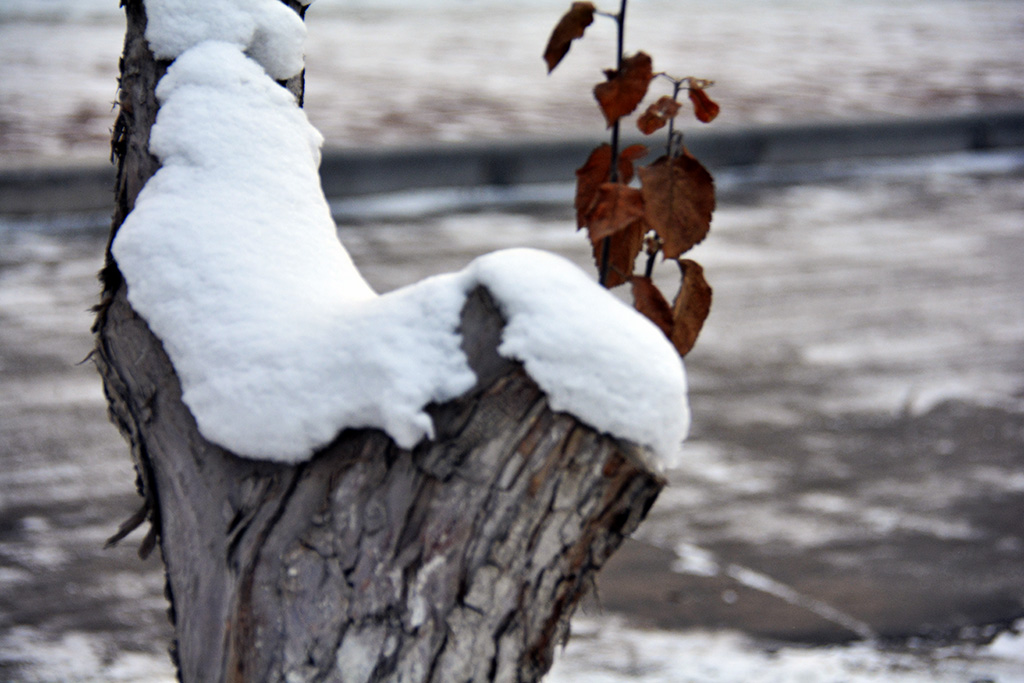 �˹������� 093b.jpg