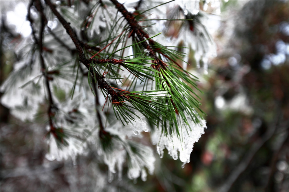 ���� (2).jpg