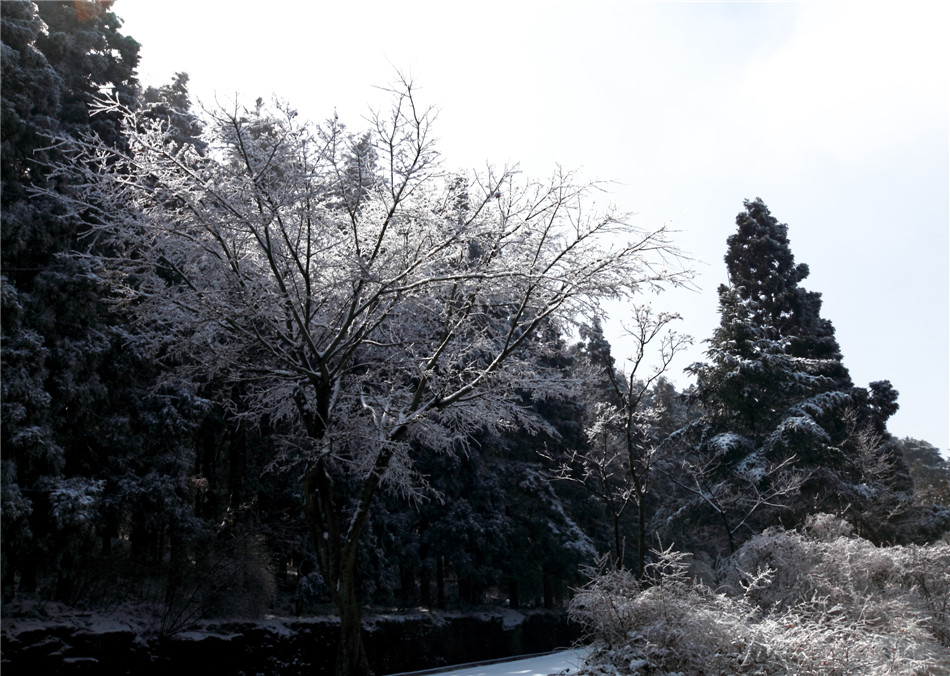 ���� (8).jpg