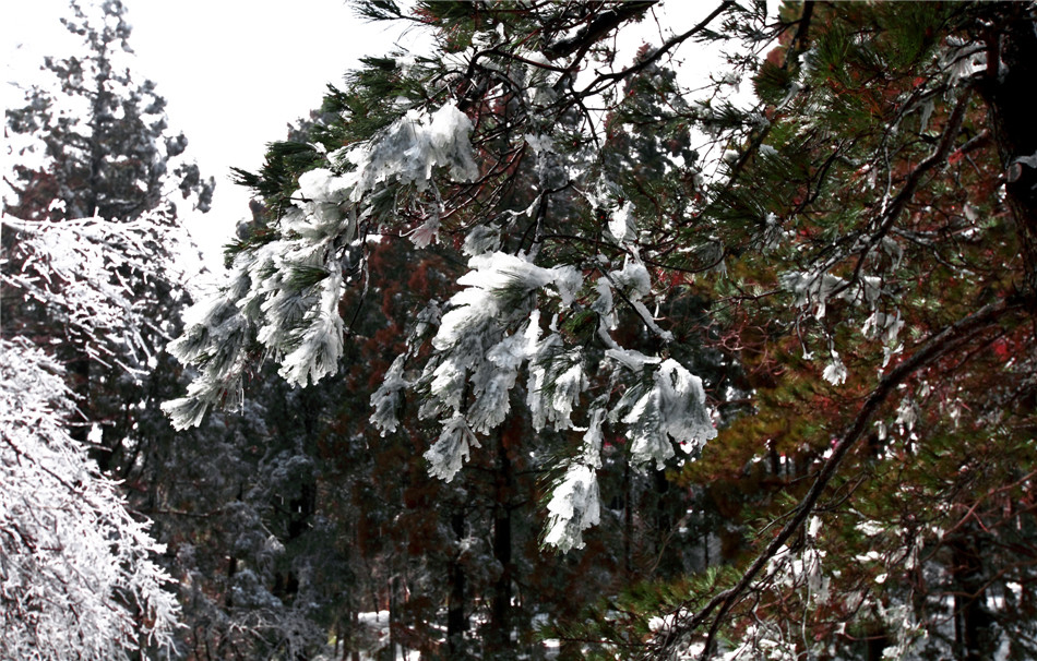 ���� (5).jpg