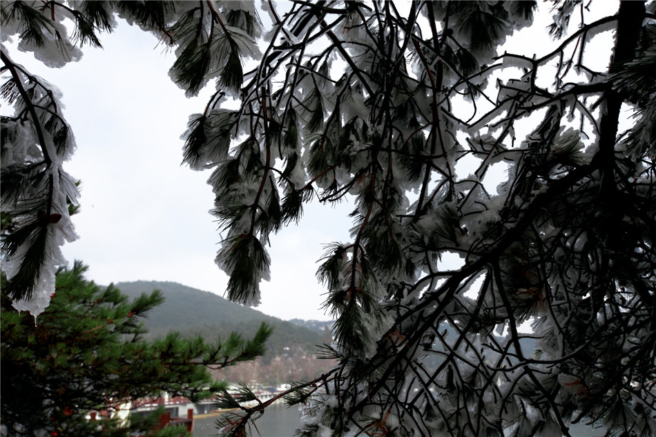 ���� (7).jpg