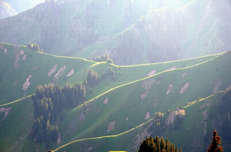 ����  ������