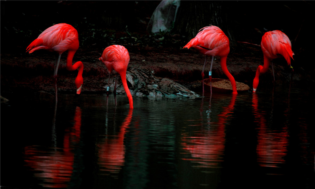 ���� (5).jpg