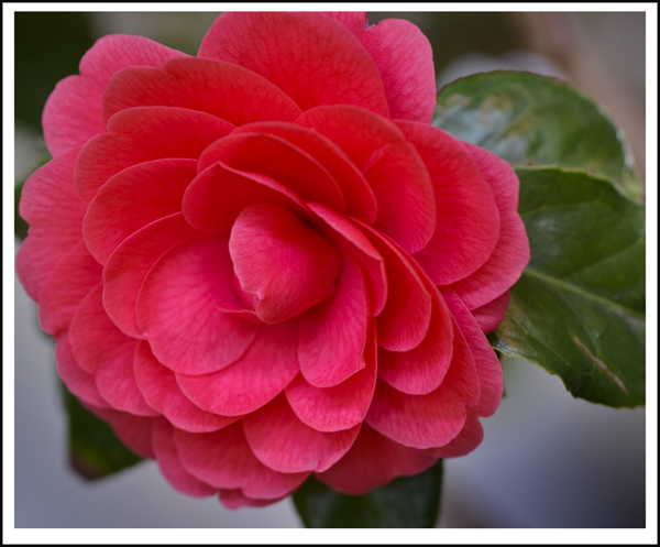 2014��3��20�ղ軨��Ƭ ����00312.jpg