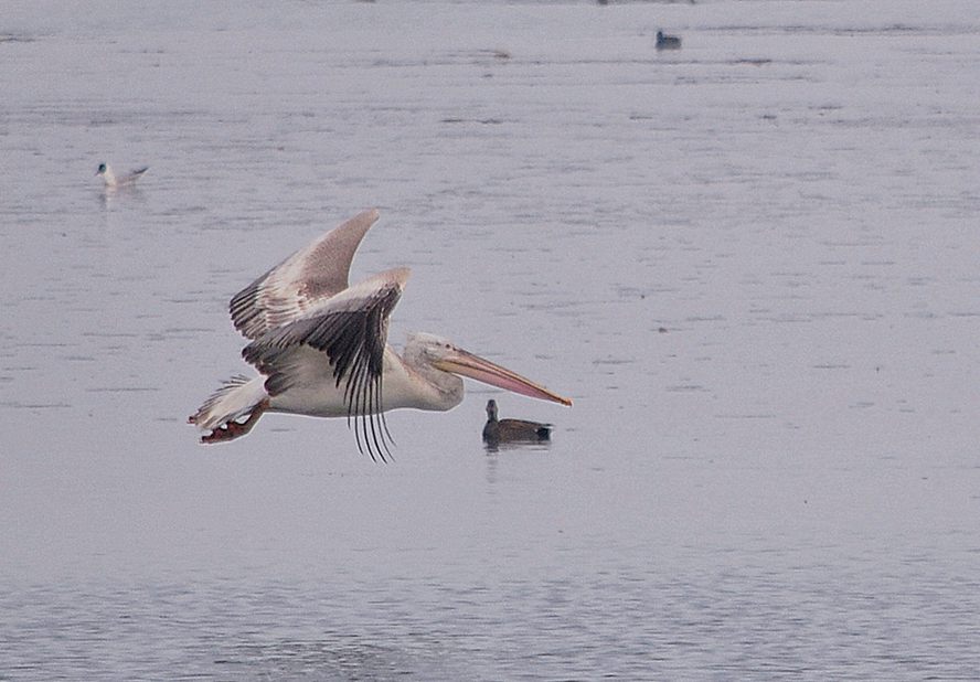 ��Ƭ 141_����.jpg