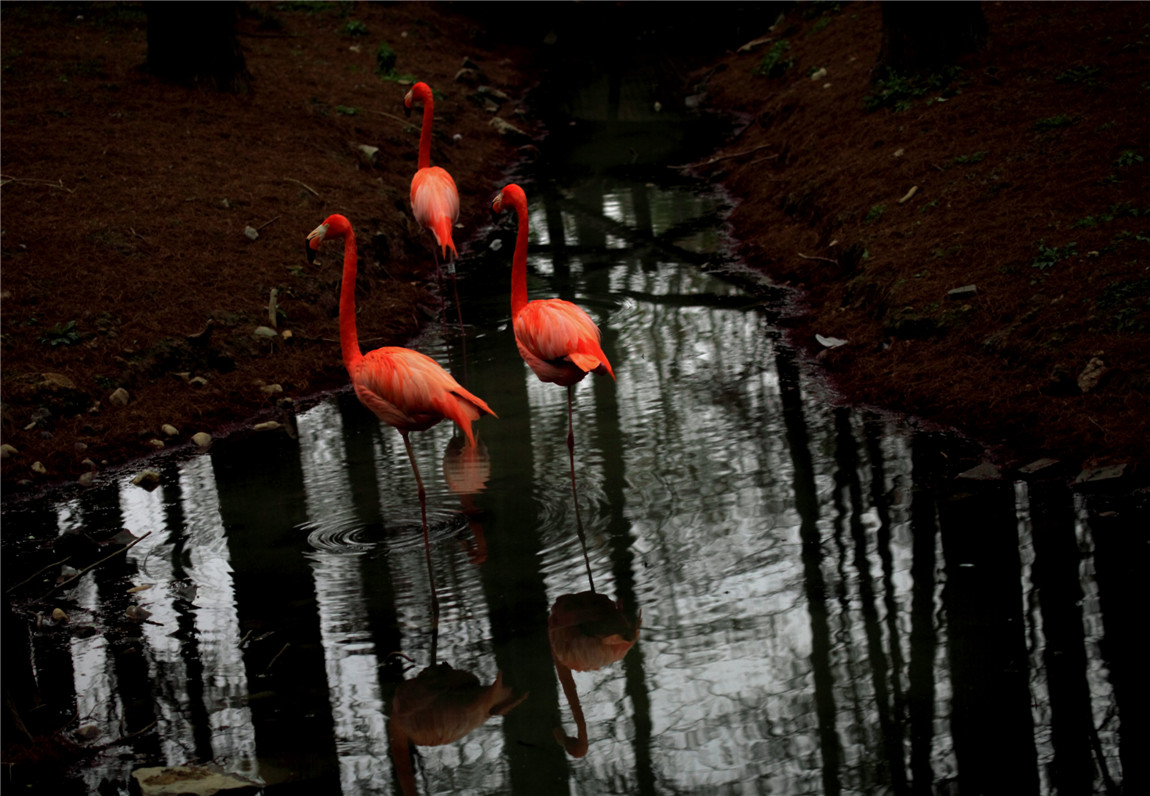 ���� (4).jpg