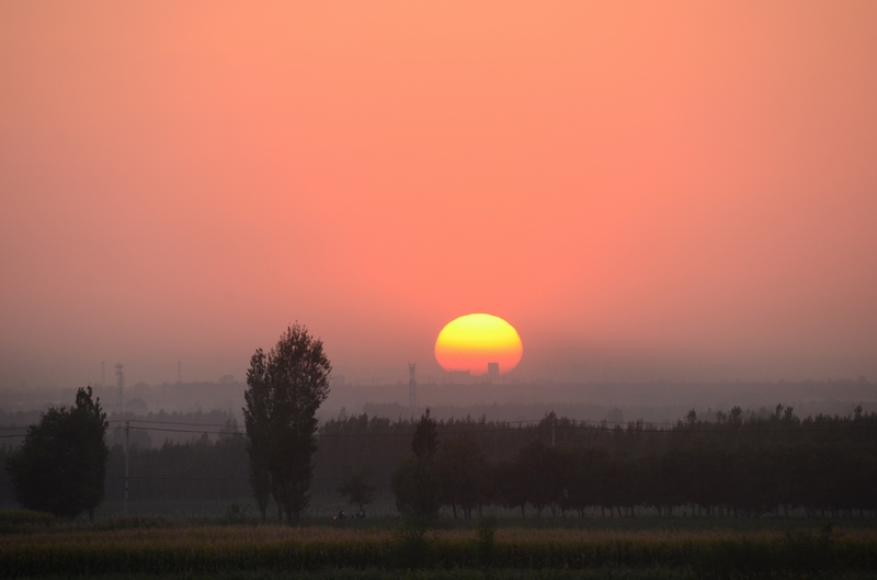 Ϧ����  ������