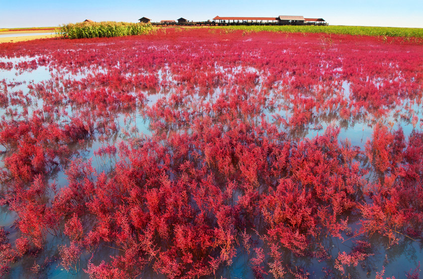 ���� IMG_8694 ,b b----.jpg