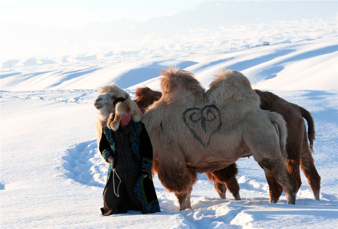 ���� (1).jpg