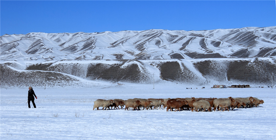 ���� (4).jpg